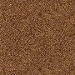 Carianna Loveseat - Smokey Mountain Furniture (NC)